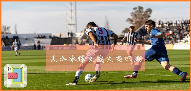 美加冰球决战火花四溅