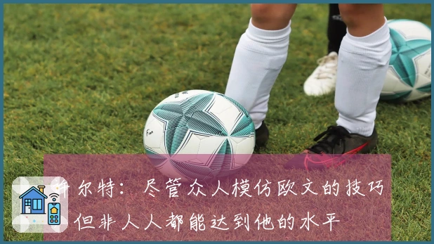 许尔特：尽管众人模仿欧文的技巧，但非人人都能达到他的水平
